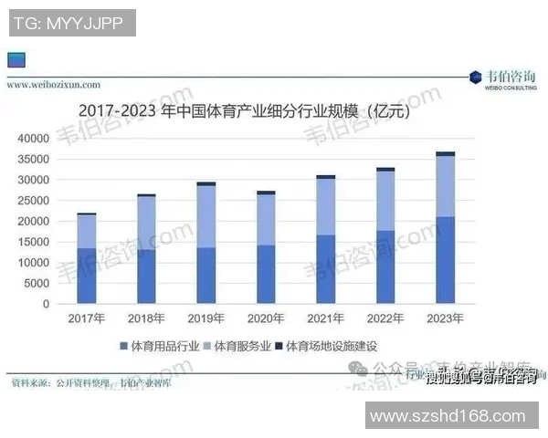 体育健身器材行业发展趋势分析与市场前景展望探讨